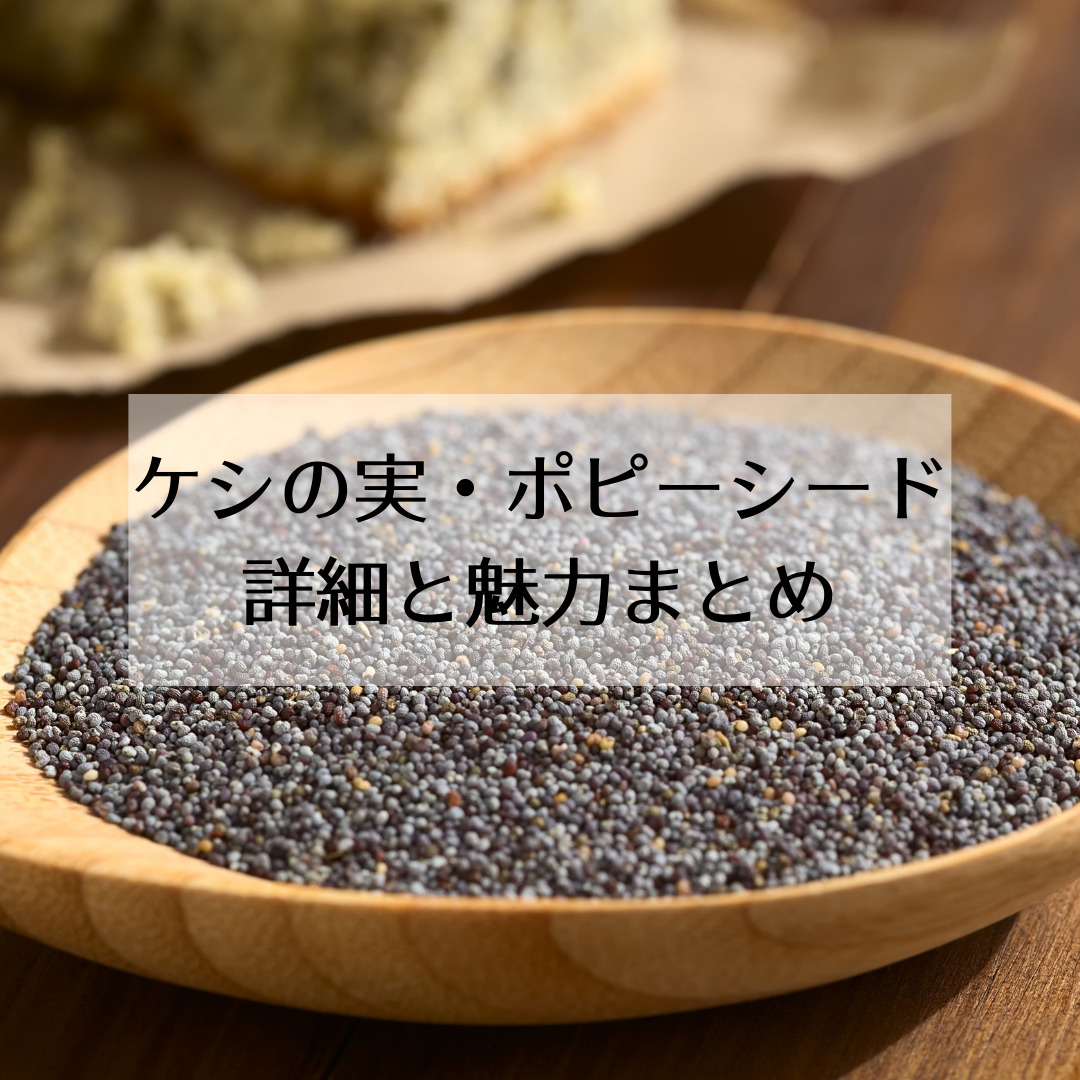 ケシの実・ポピーシードの詳細と魅力まとめ | motomone Blog